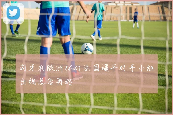 匈牙利欧洲杯对法国逼平对手小组出线悬念再起